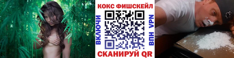 Кокаин 97%  продажа наркотиков  Благодарный 