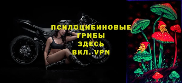 не бодяженный Михайловск