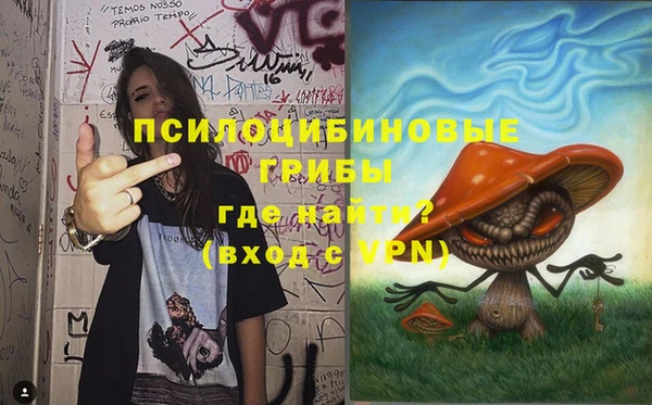 метадон Михайлов
