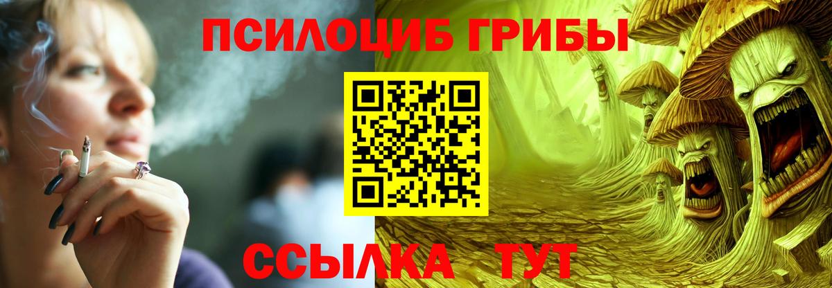 Галлюциногенные грибы Psilocybe Благодарный