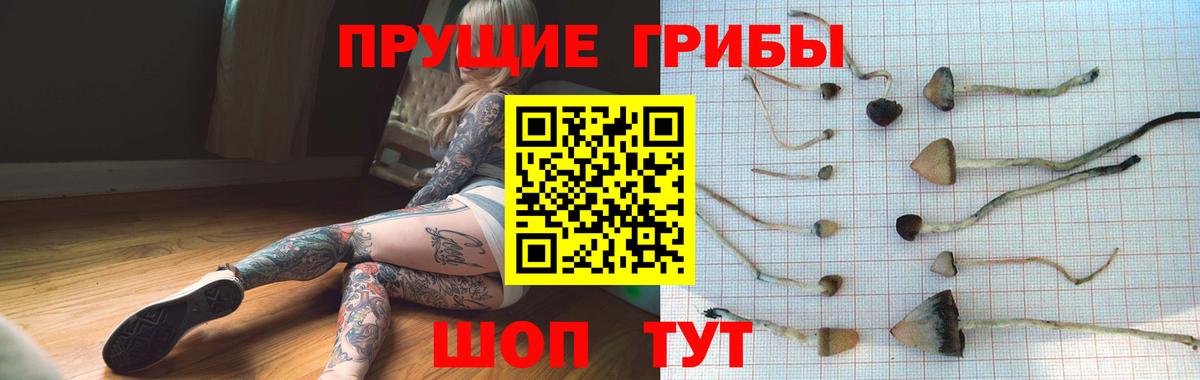 Псилоцибиновые грибы Cubensis  Благодарный 